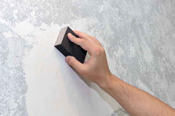 Mold Odor Removal Services in Euclid, OH