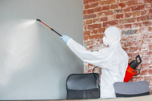 Trusted Euclid, OH Mold Removal Experts