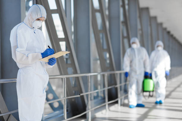 Best Mold Damage Restoration  in Euclid, OH