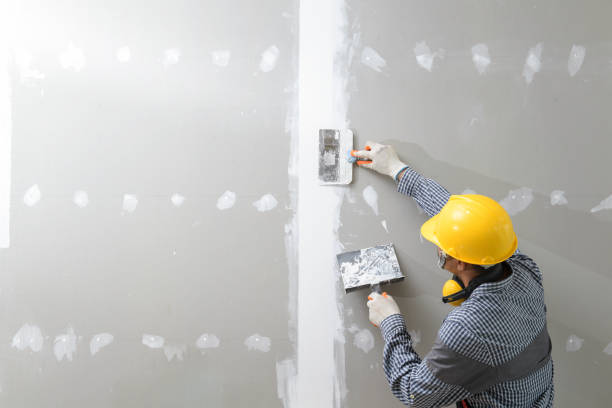 Best Post-Construction Mold Inspection  in Euclid, OH