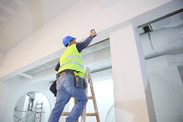 Best Attic Mold Removal  in Euclid, OH