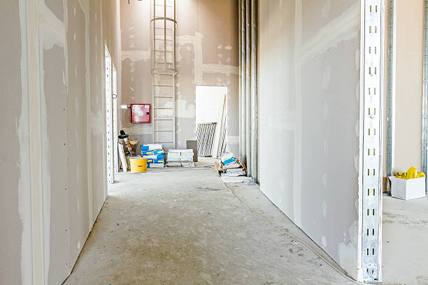 Best Crawl Space Mold Remediation  in Euclid, OH