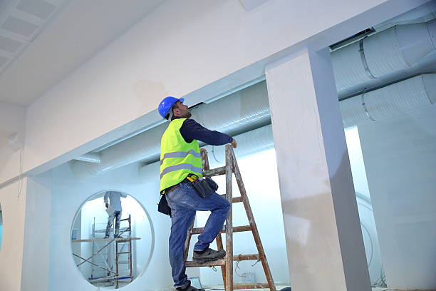 Best Dehumidification Services  in Euclid, OH
